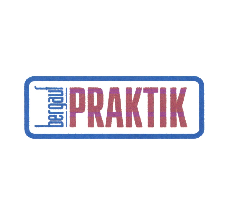 Praktik